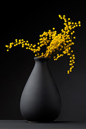 Вазы и цветы